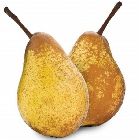 Poire Rochas (1 kg)