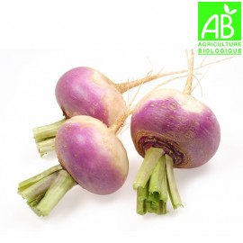 Rutabaga Bio (500g)