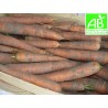 Carottes Lavées Bio (1 kg)