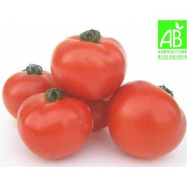 Tomates pour conserve Bio (5 kg)