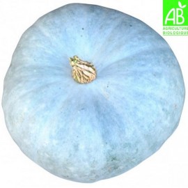 Courge Bleue de Hongrie (pièce environ 2.5 kg)