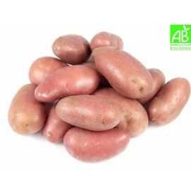 Pommes de terre bio